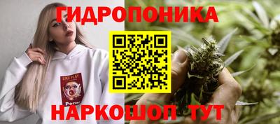 гашик Севастополь