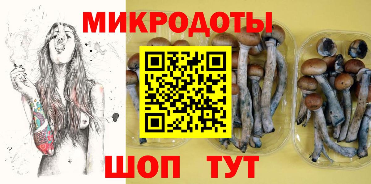 Северобайкальск  Галлюциногенные грибы мухоморы  Вход с VPN 