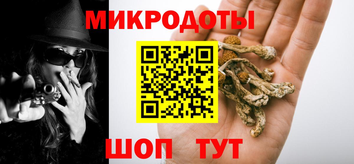 Псилоцибиновые грибы мухоморы Северобайкальск